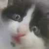 iswearimnotgayy