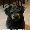 usertlb64ymvjx