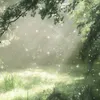 im_ren7