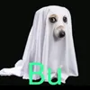joel_celedon123