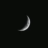 farahnoori05