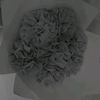username0202884