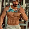 captin_ali_fit