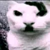_kitler_2