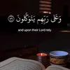 paryaedlshkaw11
