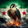 www.tiktok.comkaramalham