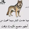 abdoabdllah24