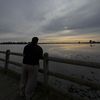 sililo_fialele