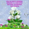 user558589087