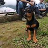 felipe43718