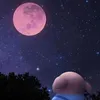 usercquowtvru1