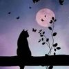 lunajinxabc