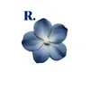 _rh5l