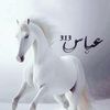 ghyoom8