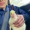 selvincj