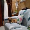 iamdeapratiwi2
