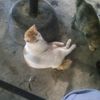 srianne77