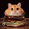 cutecatburger