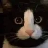 dinhtap97