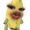 nam_lin_x2