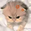 athuuu69