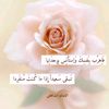 yoyo_h019
