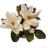 majestymagnolias