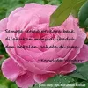 mahaniibrahim59