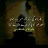 zaray455