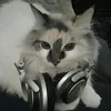 music_and_game_lover5590