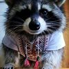 user6l3cnqrxnp