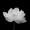 phan_van_son