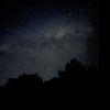 marjan_444