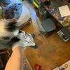 .furry_rex_08