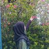 fhrhanaaa