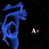 user5661090178763