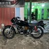 paiyy31