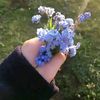 iirr_26