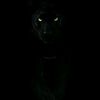 found_ff_official
