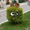 mytiktokdose