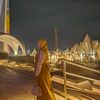 zidnainaya