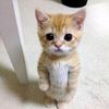 user_24505