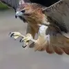 user3yfygguhy5