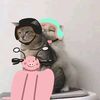 kittycar27