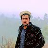 wahid81889