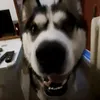 nola_989090