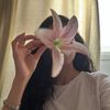 najds88