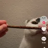 vikadolzhe_2