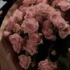 balqisdh08