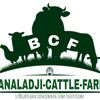 user223banaladji